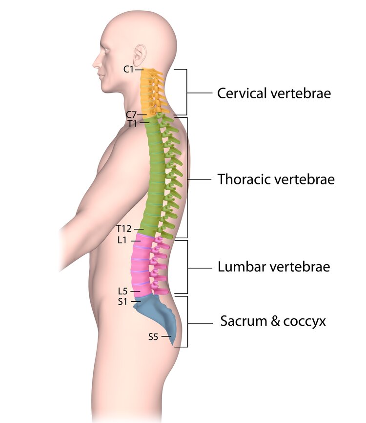 dorsal root ganglion stimulation